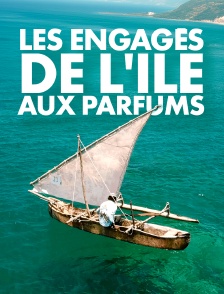 Les engagés de l'île aux parfums