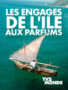 TV5MONDE - Les engagés de l'île aux parfums
