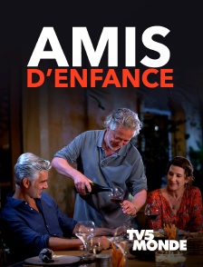TV5MONDE - Amis d'enfance