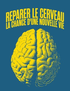 Réparer le cerveau, la chance d'une nouvelle vie