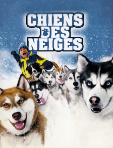 Chiens des neiges