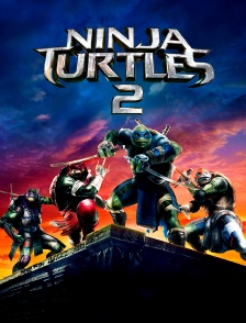 Ninja Turtles 2