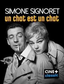 Simone Signoret, un chat est un chat