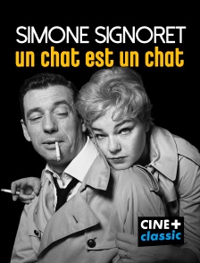 CINE+ Classic - Simone Signoret, un chat est un chat en replay