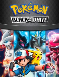 Pokémon Noir & Blanc