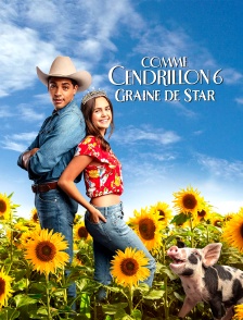 Comme Cendrillon 6 : Graine de star