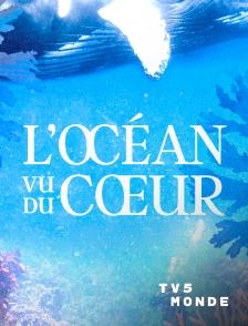 TV5MONDE - L'Océan vu du coeur