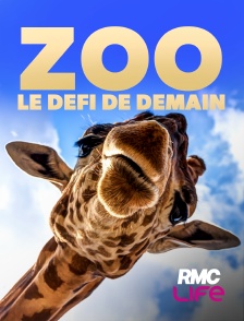 RMC Life - Zoo : le défi de demain
