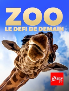 Chérie 25 - Zoo : le défi de demain