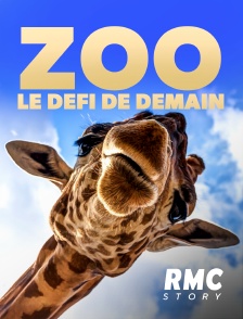 RMC Story - Zoo : le défi de demain en replay