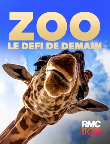 RMC Story - Zoo : le défi de demain