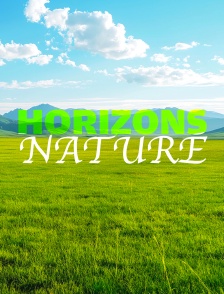 Horizons nature