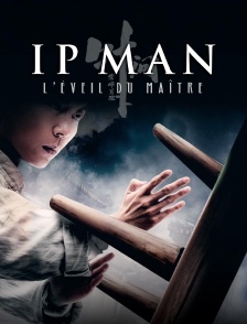 Ip Man : L'éveil du maître