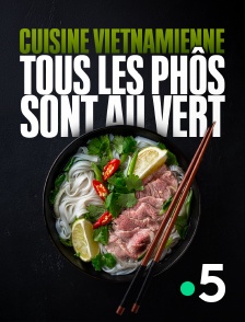 France 5 - Cuisine vietnamienne : tous les phôs sont au vert