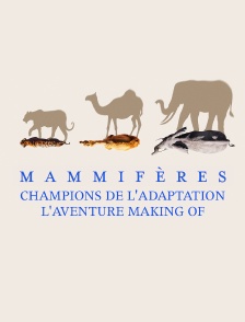 Mammifères, champions de l'adaptation - l'aventure - Making of