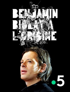 France 5 - Benjamin Biolay, à l'origine
