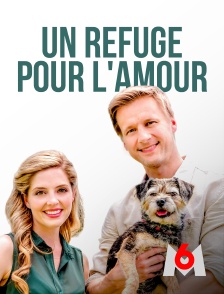 M6 - Un refuge pour l'amour