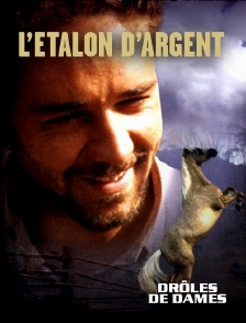 Molotov Channels internal-external test - L'étalon d'argent