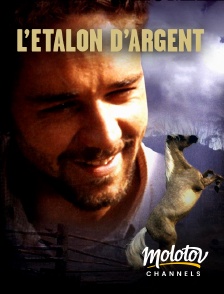 Molotov channels - L'étalon d'argent