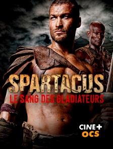 CINÉ Cinéma - Spartacus