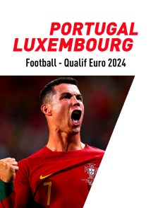 Football - Qualifications à l'Euro 2024 : Portugal / Luxembourg