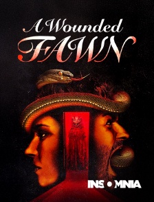 INSOMNIA - A Wounded Fawn
