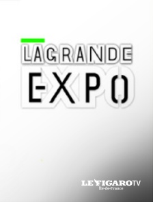 Le Figaro TV Île-de-France - La Grande Expo