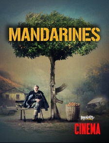 Mandarines