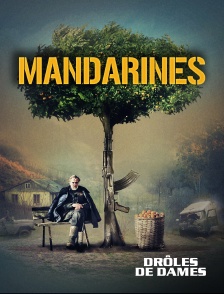 Molotov Channels internal-external test - Mandarines