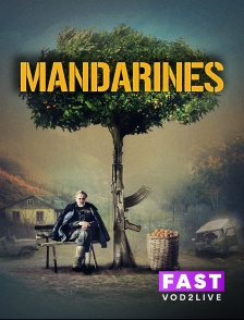 Molotov Channels TEST FAST - Mandarines