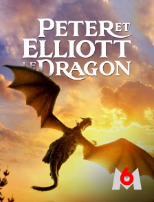 M6 - Peter et Elliott le dragon