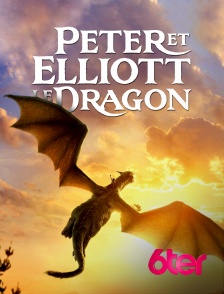 6ter - Peter et Elliott le dragon