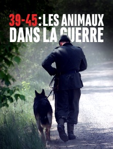 39-45, les animaux dans la guerre