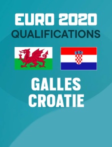 Football - Qualifications EURO 2020 : Pays de Galles / Croatie