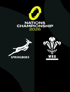 Afrique du Sud / Pays de Galles : Nations Championship - Rugby