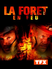 La forêt en feu