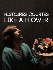 Histoires courtes : Like a Flower