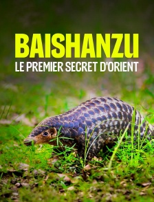 Baishanzu, le premier secret d'Orient