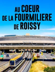 Au coeur de la fourmilière de Roissy