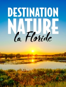 Destination nature : la Floride