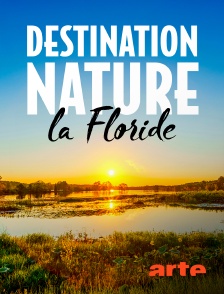Arte - Destination nature : la Floride