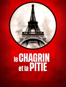 Le chagrin et la pitié