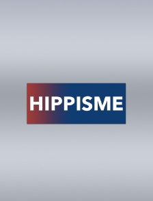 Hippisme