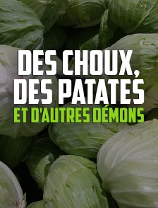 Des choux, des patates et d'autres démons