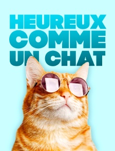 Heureux comme un chat