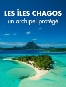 Les îles Chagos, un archipel protégé