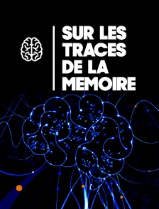 Sur les traces de la mémoire