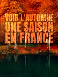 Voir l'automne, une saison en France