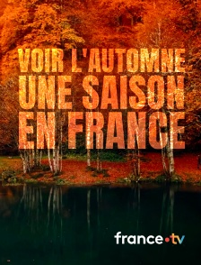 france.tv - Voir l'automne, une saison en France
