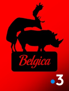 France 3 - Belgica